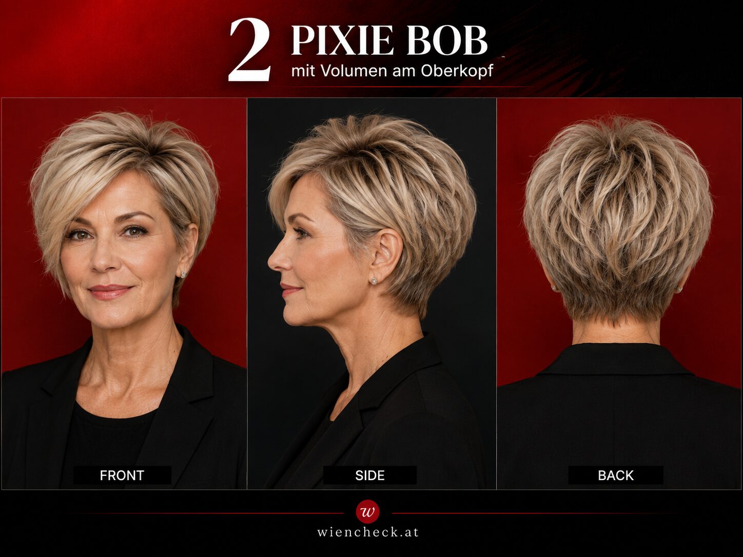 Pixie Bob mit Volumen am Oberkopf